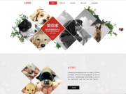 product-picture
