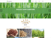 product-picture